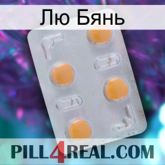 Лю Бянь 24